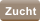 Zucht